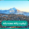تیشرت زنانه عمده بانه