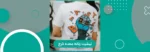 تیشرت زنانه عمده کرج